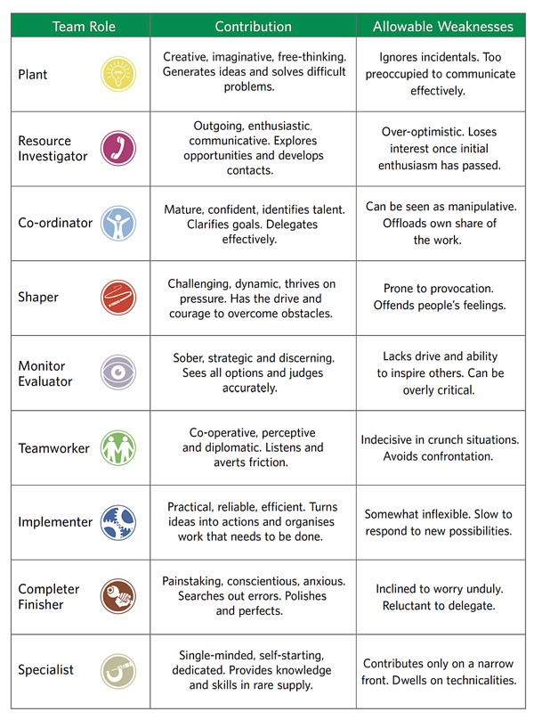 Belbin summary diagram