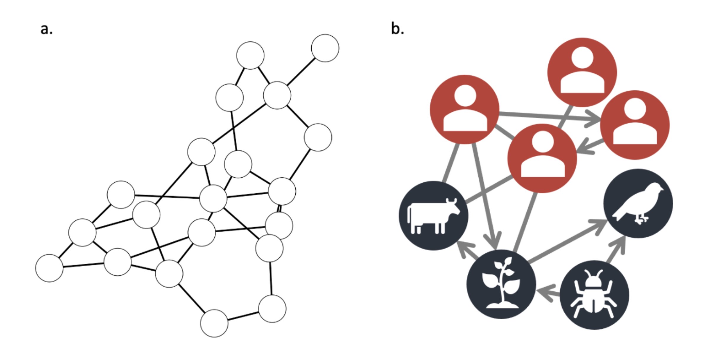 Network graph and socio-ecological network